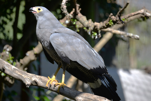 World of Birds Wildlife Sanctuary.